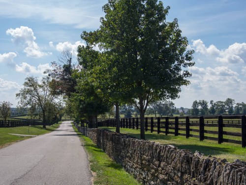A peaceful country road lined with trees and a stone wall, leading to open fields under a blue sky with fluffy clouds.