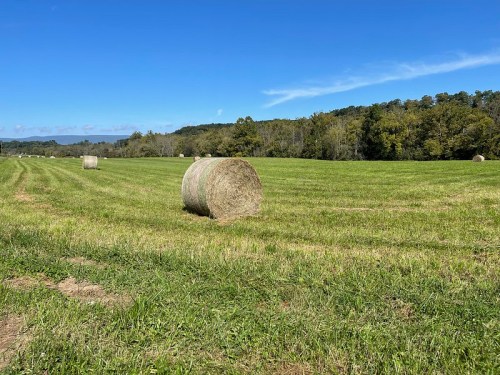 A sunny field with round hay bales scattered across green grass, surrounded by trees and a clear blue sky.