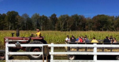 A tractor pulls a wagon filled with people through a cornfield on a sunny day. Trees line the background.