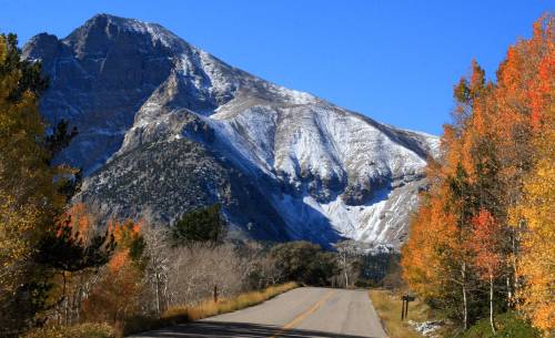 A scenic road leads through vibrant autumn trees, with a snow-capped mountain in the background under a clear blue sky.