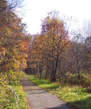 A serene pathway lined with trees displaying autumn foliage under a clear blue sky.