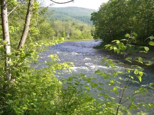 A serene river flows through a lush green landscape, surrounded by trees and distant mountains under a clear sky.