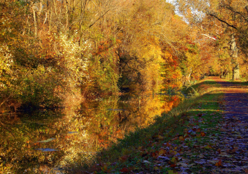 A serene autumn scene with colorful trees reflecting in a calm canal beside a walking path.