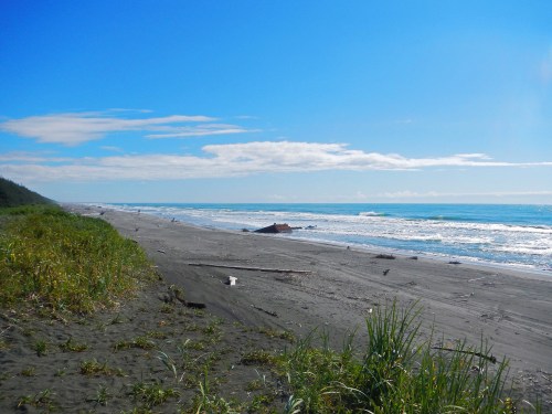 A serene beach scene with gentle waves, a clear blue sky, and lush green grass along the shore.