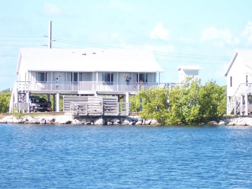 A waterfront view of a white house on stilts, surrounded by greenery and a calm blue water.