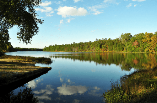 A serene lake surrounded by trees, reflecting the blue sky and clouds on a calm day.