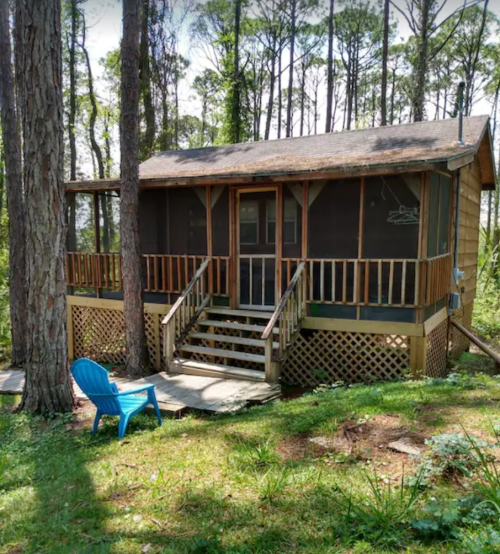 A cozy cabin with a screened porch, surrounded by tall trees and greenery, featuring a blue chair on the porch.