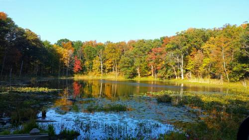 A serene lake surrounded by colorful autumn trees reflecting in the water under a clear blue sky.