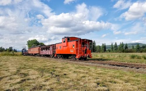 A red caboose and a blue train car on a grassy railway under a partly cloudy sky.