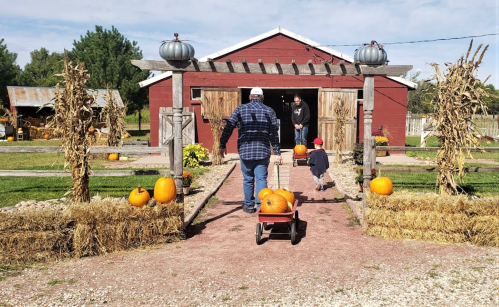 A man and a child pull wagons filled with pumpkins toward a red barn, surrounded by hay bales and autumn decorations.
