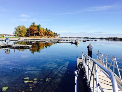 A calm lake scene with a person standing on a dock, surrounded by autumn trees and clear blue skies.