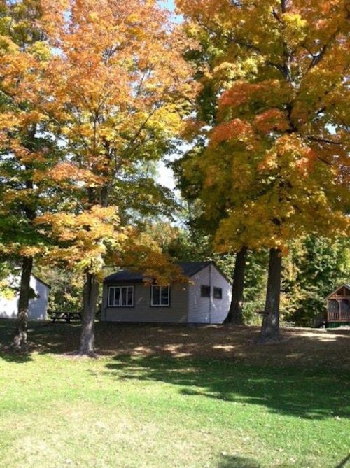 A cozy house surrounded by vibrant autumn trees with orange and yellow leaves.