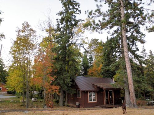 A cozy cabin surrounded by colorful autumn trees and a grassy area, with a dog standing nearby.
