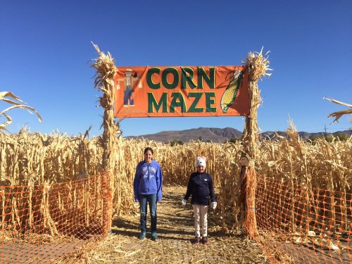 Two children stand at the entrance of a corn maze, with a large "Corn Maze" sign above them and tall corn stalks around.