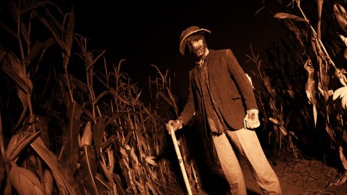 A figure in a straw hat stands in a dark cornfield, holding a stick, surrounded by tall corn plants.