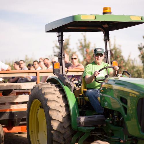 A farmer drives a green tractor, pulling a wagon with people enjoying a day outdoors in an orchard.