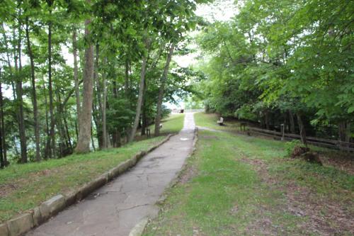 A winding path through a lush green forest, leading to a clearing with benches and trees on either side.