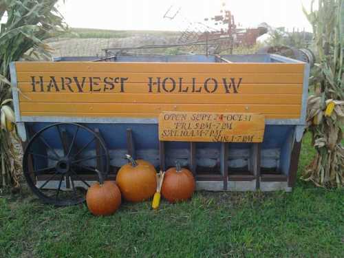 A wooden cart labeled "Harvest Hollow" with pumpkins, surrounded by corn stalks, set in a rural landscape.