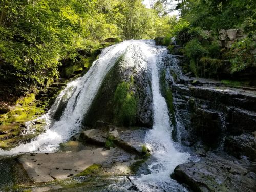 A serene waterfall cascading over moss-covered rocks, surrounded by lush greenery and trees.
