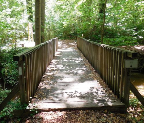 A wooden bridge surrounded by lush green trees and foliage, leading over a small stream in a serene forest setting.