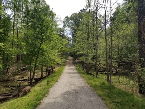 A gravel path winds through a lush green forest, flanked by trees and underbrush on either side.