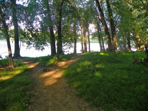 A serene path through lush greenery, leading to a calm river, surrounded by tall trees and dappled sunlight.