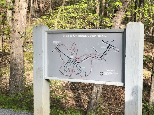 Map of the Chestnut Ridge Loop Trail, showing the trail route and surrounding wooded area.