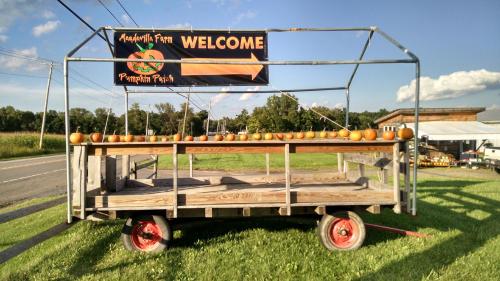 A wooden cart with pumpkins on top, under a "Welcome" sign, set in a grassy area near a road.