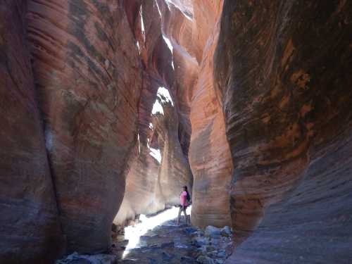 A person stands in a narrow canyon with towering, colorful rock walls and sunlight filtering through above.