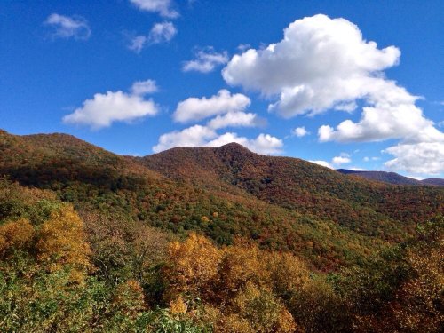 Scenic view of mountains covered in autumn foliage under a blue sky with fluffy clouds.