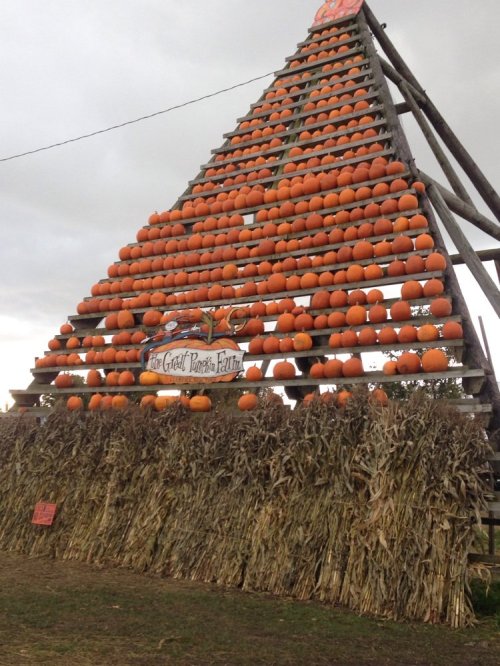 A large pyramid structure made of stacked pumpkins, with a corn stalk decoration at the base, set against a cloudy sky.