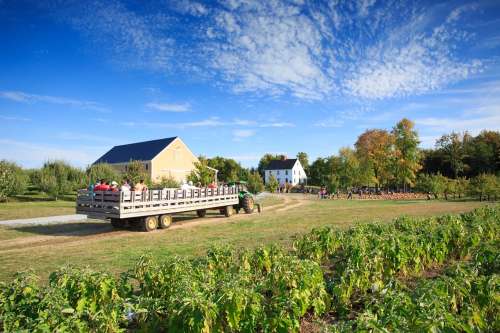 A sunny farm scene with a tractor, a wagon filled with people, and colorful trees in the background.