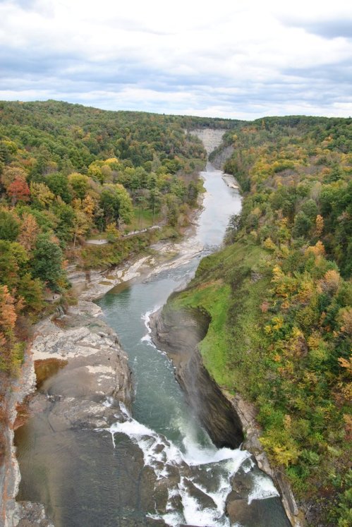 A scenic view of a river winding through a forested landscape with autumn foliage and rocky banks.