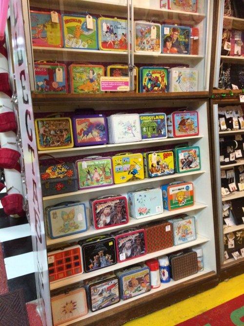 A display case filled with colorful vintage lunch boxes featuring various cartoon and pop culture designs.