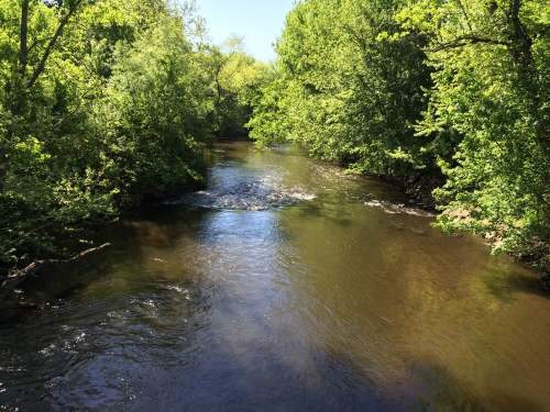 A serene river flows through lush green trees under a clear blue sky.