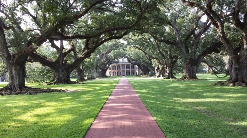A brick pathway leads to a grand house, framed by large oak trees and lush green grass.