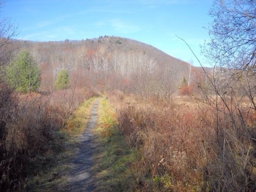 A winding dirt path through a colorful autumn landscape with trees and hills under a clear blue sky.