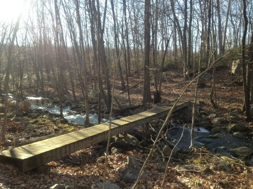 A wooden bridge crosses a stream in a wooded area with bare trees and scattered leaves on the ground.