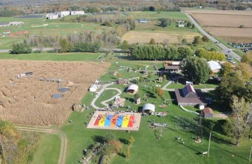 Aerial view of a farm with a corn maze, colorful play area, and various outdoor activities surrounded by fields.