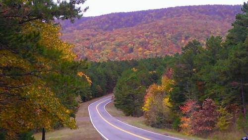 Winding road through vibrant autumn foliage with mountains in the background.