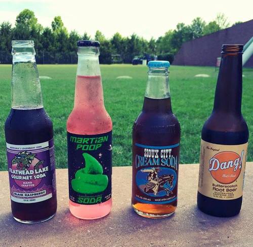 Four unique soda bottles on a grassy field: raspberry, pink "Martian Poop," cream soda, and butterscotch root beer.