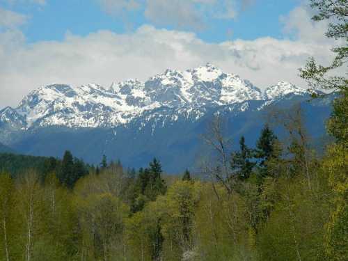 Snow-capped mountains rise above a forest of green trees under a partly cloudy sky.