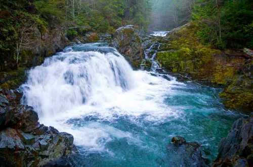 A serene waterfall cascades over rocky terrain, surrounded by lush greenery and misty forest.