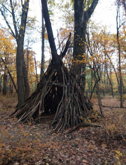 A rustic structure made of branches and logs, nestled among trees in a colorful autumn forest.