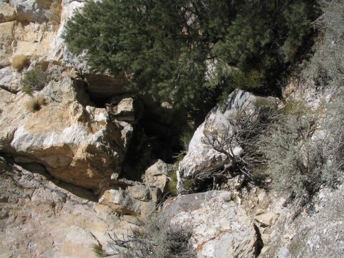 Rocky terrain with scattered boulders, shrubs, and a small tree in a natural landscape.