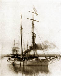 alt