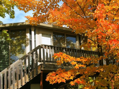 A cozy house with large windows, surrounded by vibrant autumn leaves in shades of orange and yellow.
