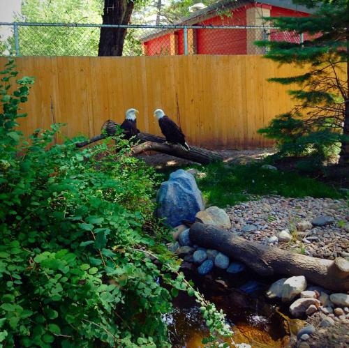 alt