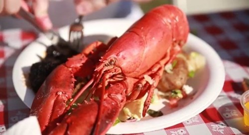 A large red lobster on a white plate, surrounded by potatoes and greens, set on a checkered tablecloth.