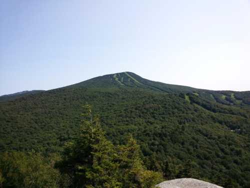 A lush green mountain with ski trails visible, under a clear blue sky.